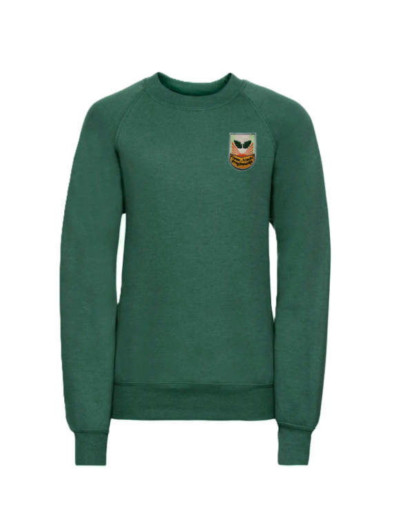 Trikotažinis džemperis be gobtuvo su mokyklos emblema