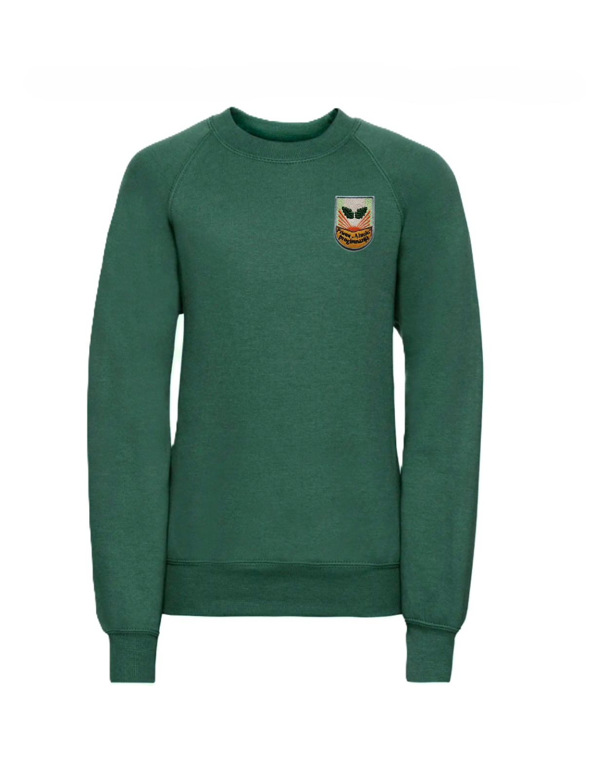 Trikotažinis džemperis be gobtuvo su mokyklos emblema