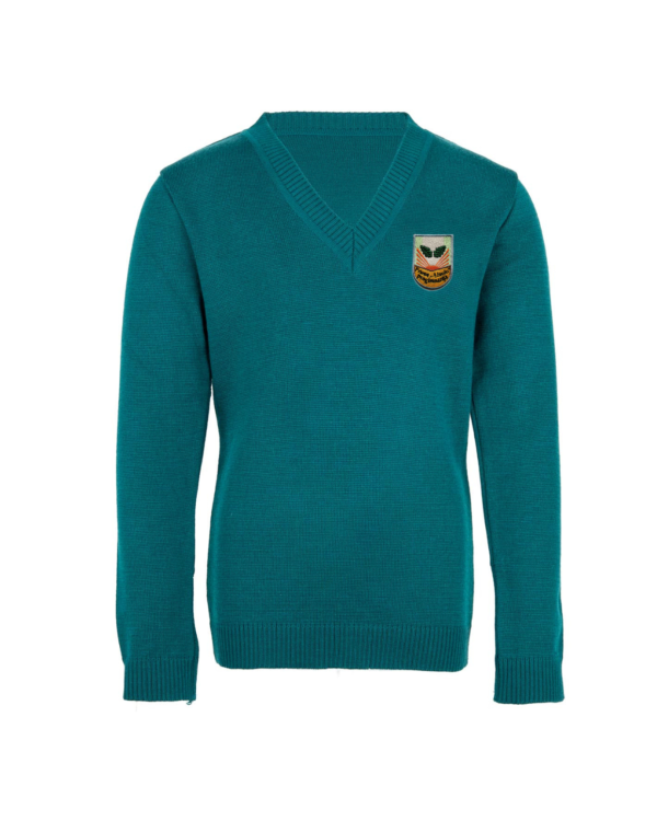 Megztinis V-formos apykakle su mokyklos emblema