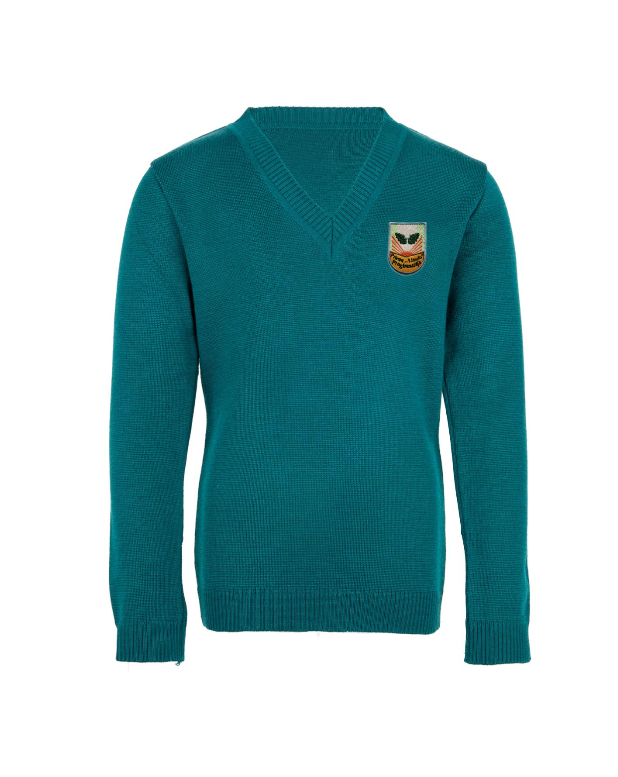 Megztinis V-formos apykakle su mokyklos emblema