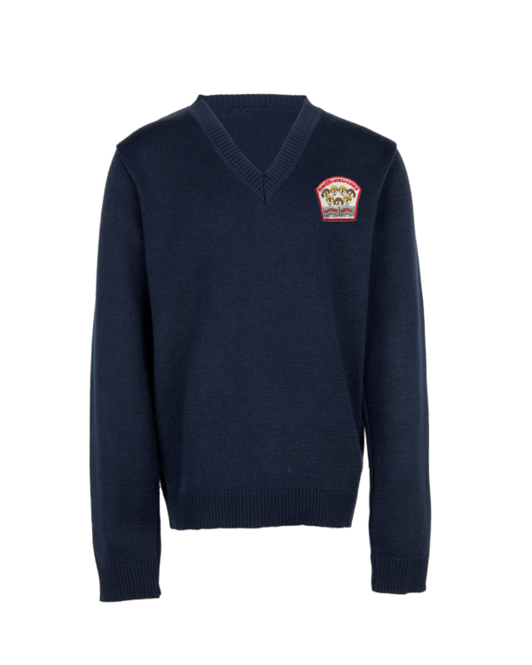 Megztinis V-formos apykakle su mokyklos emblema