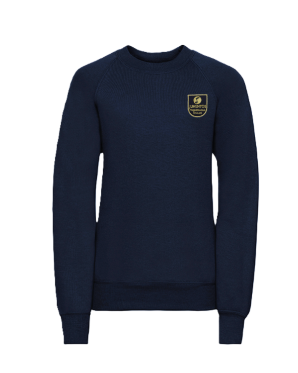 Trikotažinis džemperis be gobtuvo su mokyklos emblema