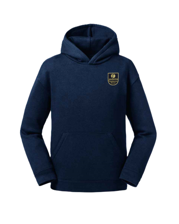 Trikotažinis džemperis su gobtuvu ir mokyklos emblema