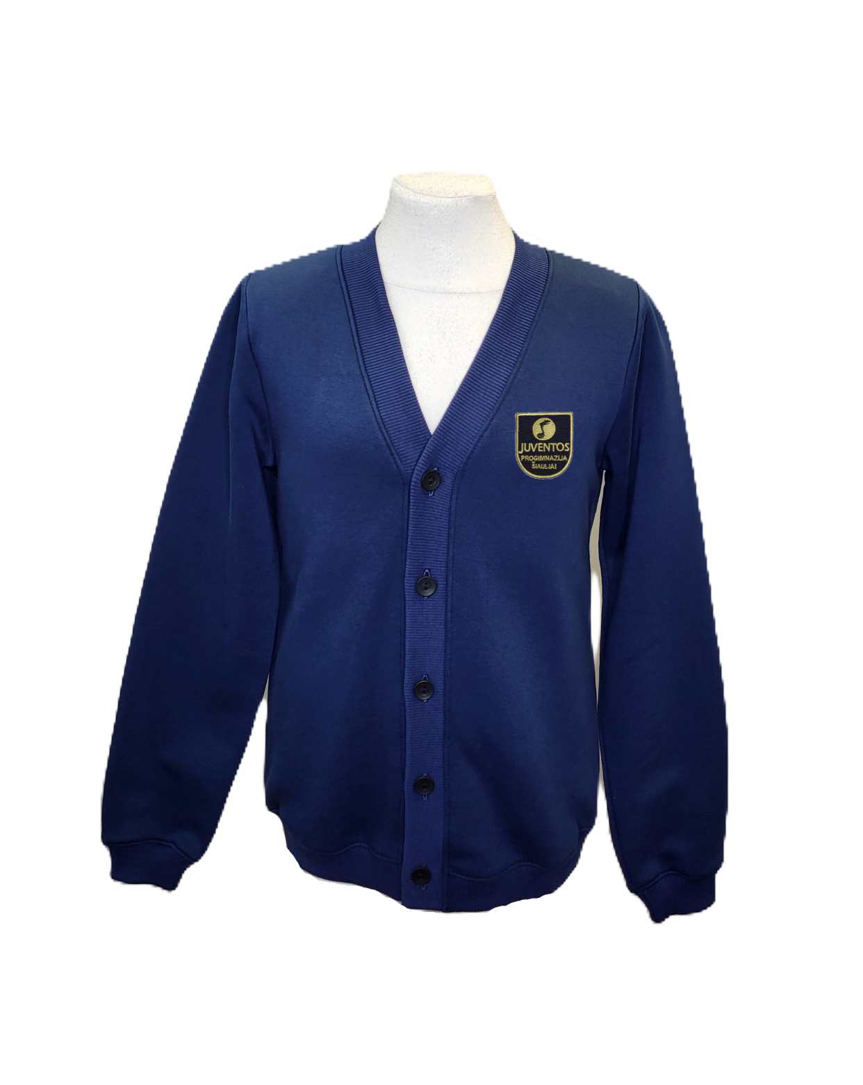 Sportinio stiliaus trikotažinis bliuzonas su sagomis ir mokyklos emblema