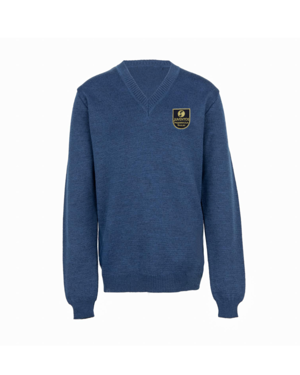 Megztinis V-formos apykakle su mokyklos emblema