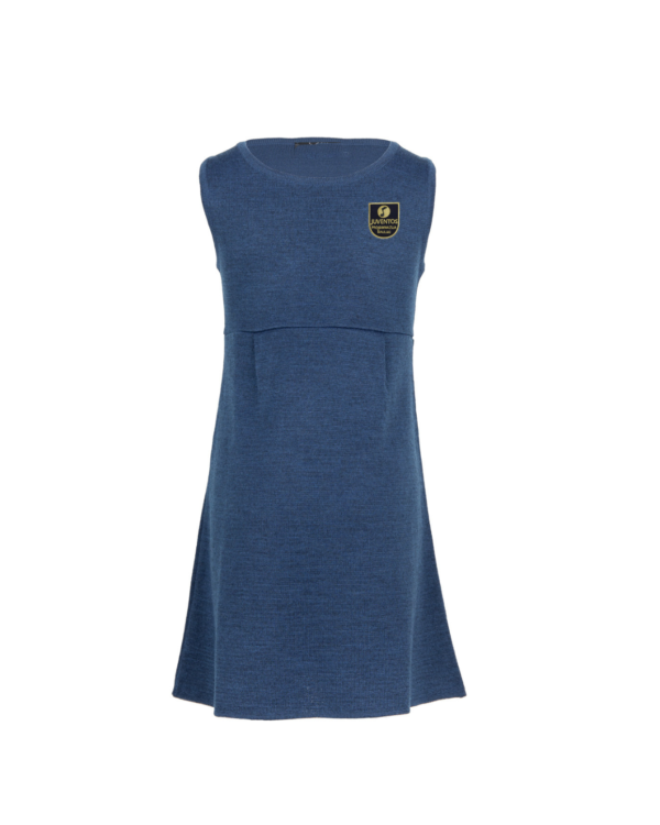 Lygus sarafanas su mokyklos emblema