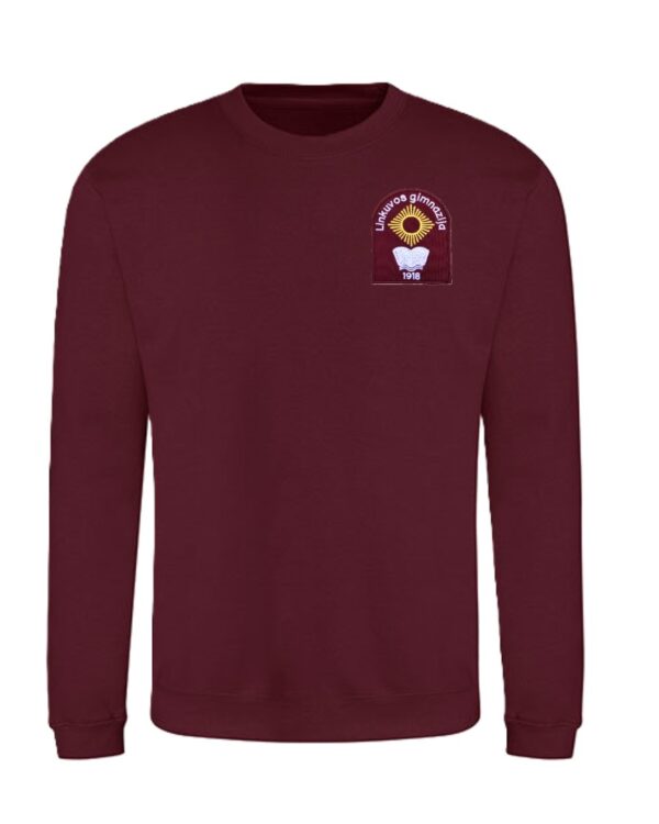 Trikotažinis sportinio tipo džemperis su mokyklos emblema