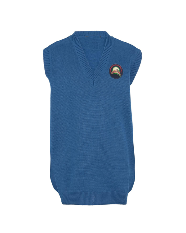 Liemenė su mokyklos emblema