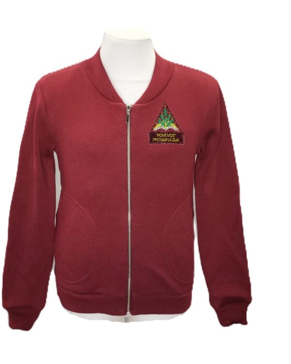 Užtraukiamas megztinis su mokyklos emblema