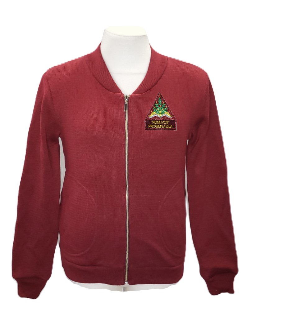 Užtraukiamas megztinis su mokyklos emblema