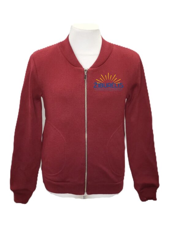 Užtraukiamas megztinis su mokyklos emblema