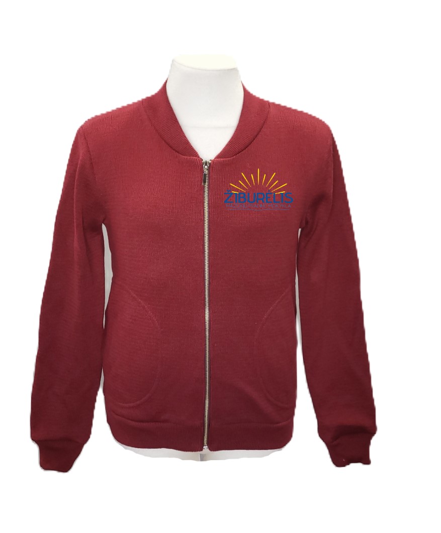 Užtraukiamas megztinis su mokyklos emblema