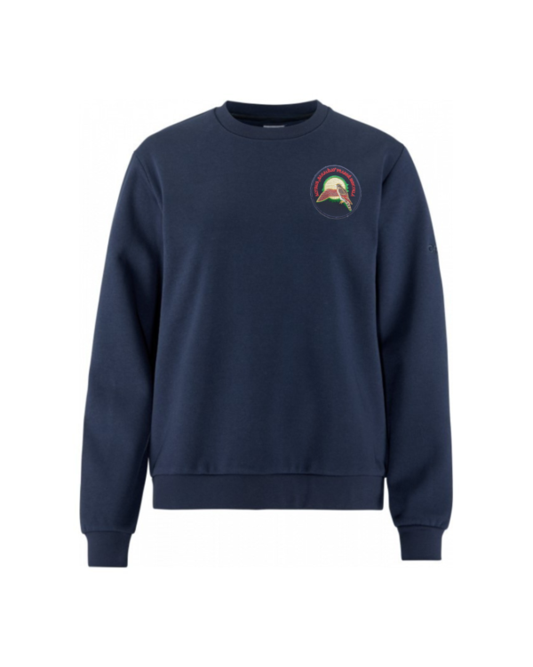 Sportinio stiliaus trikotažinis bliuzonas su mokyklos emblema