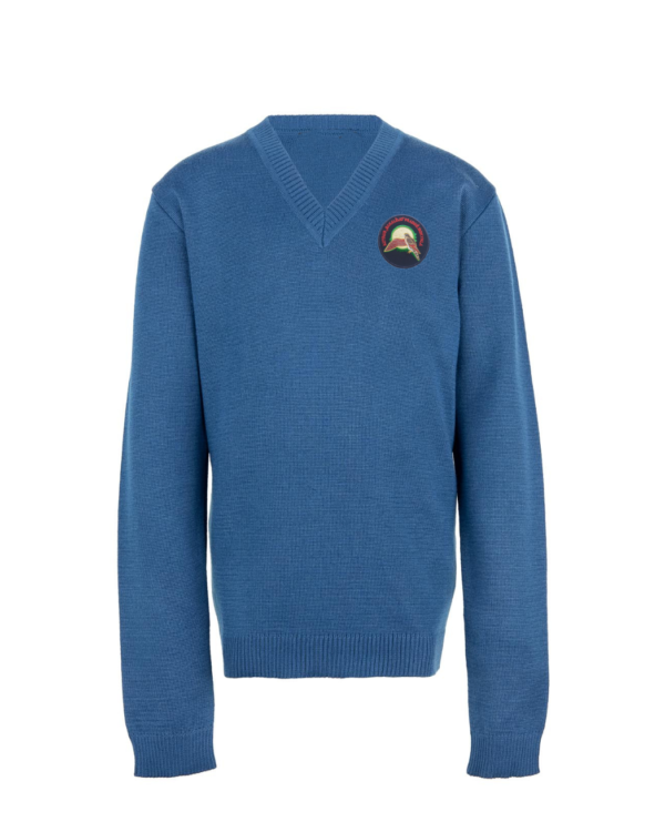 Megztinis V-formos apykakle su mokyklos emblema