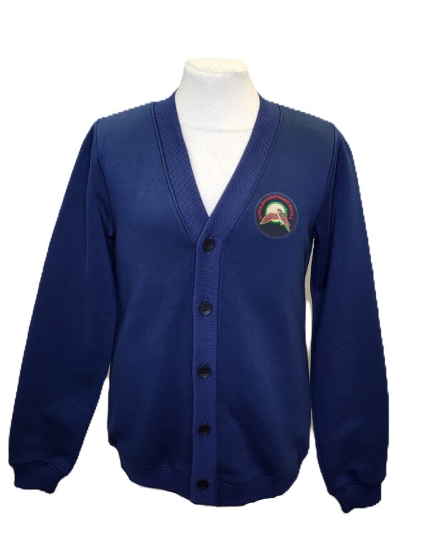 Sportinio stiliaus trikotažinis bliuzonas su sagomis ir mokyklos emblema