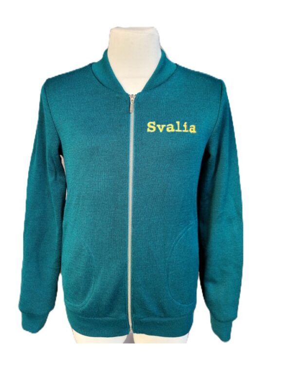 Užtraukiamas megztinis su mokyklos emblema