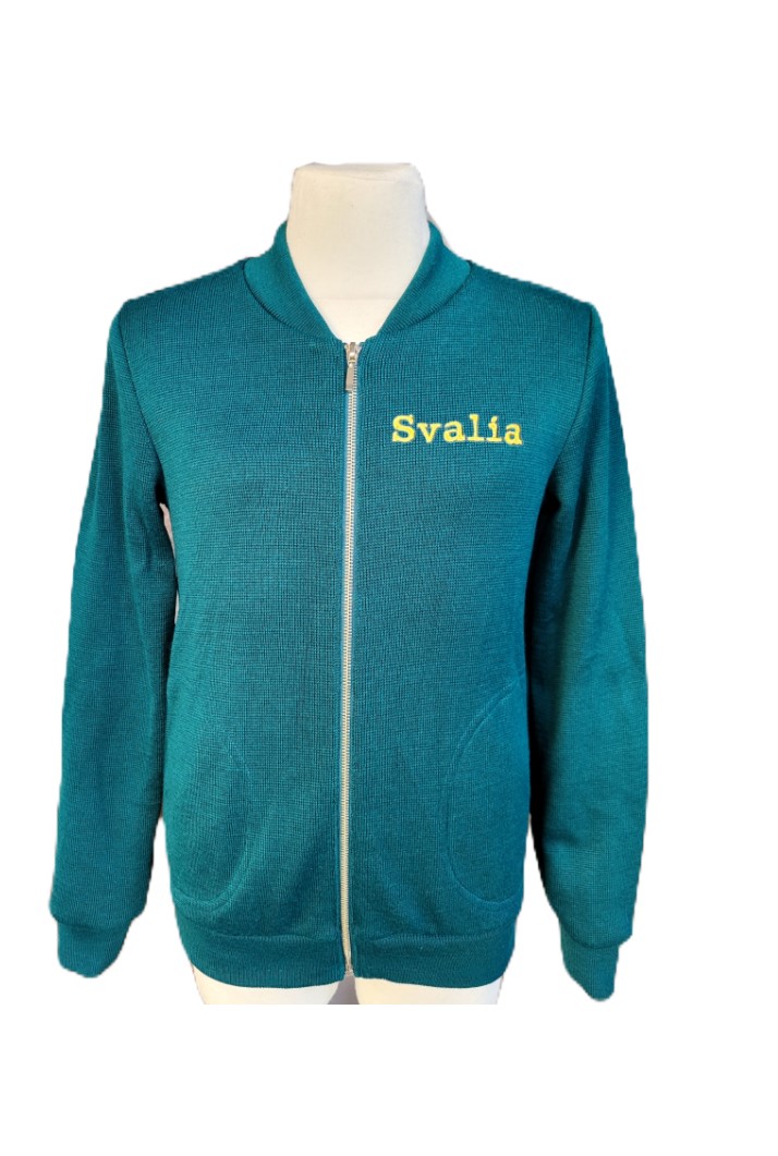 Užtraukiamas megztinis su mokyklos emblema