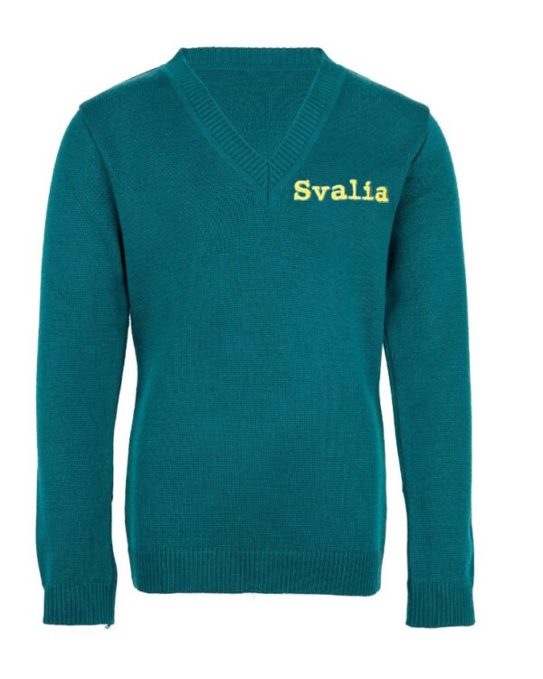 Megztinis V-formos apykakle su mokyklos emblema