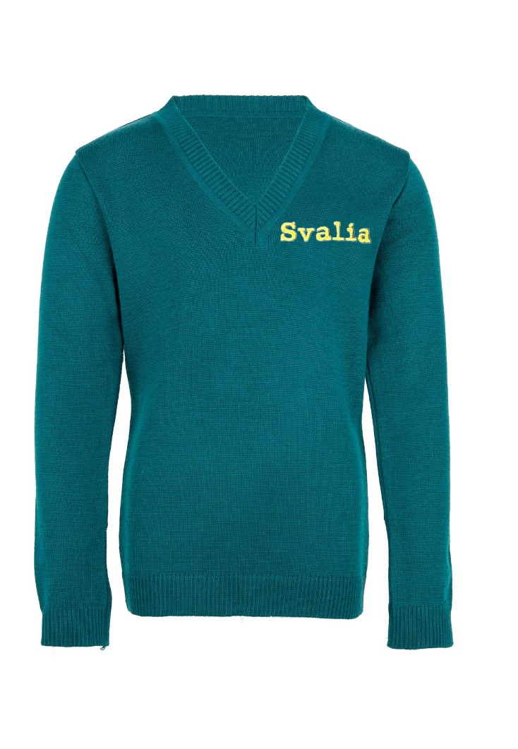 Megztinis V-formos apykakle su mokyklos emblema