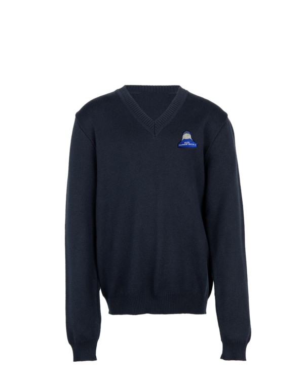 Megztinis V-formos apykakle su mokyklos emblema