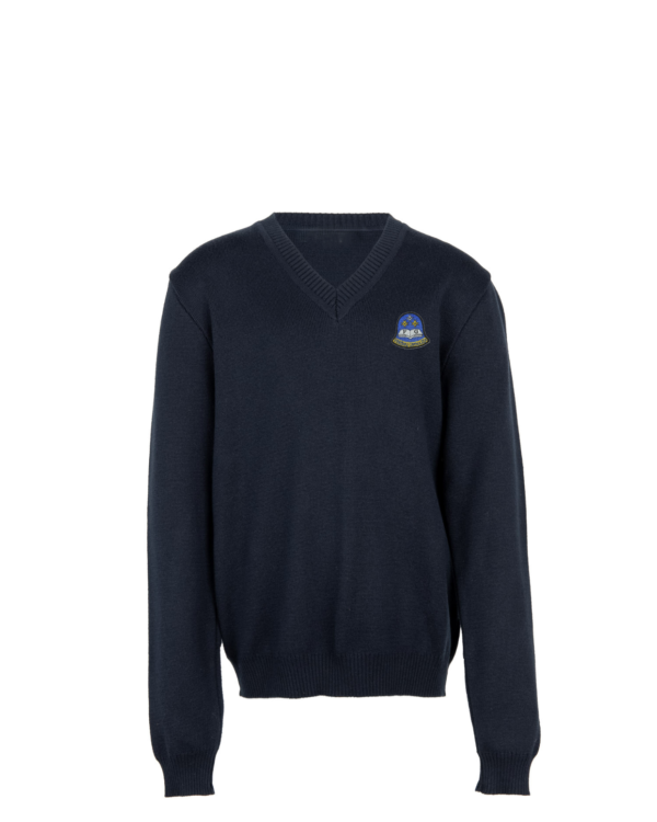 Megztinis V-formos apykakle su mokyklos emblema