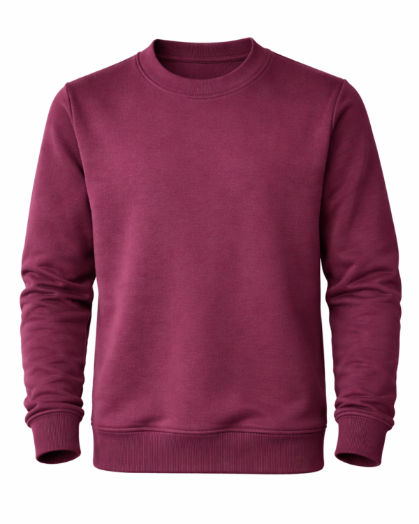 Sportinio stiliaus trikotažinis bliuzonas BE MOKYKLOS EMBLEMOS