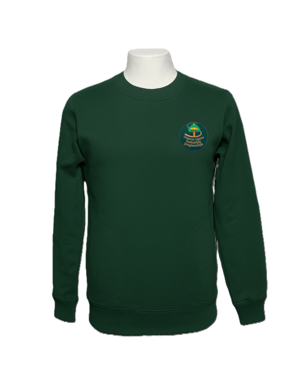 Sportinio stiliaus trikotažinis bliuzonas su mokyklos emblema