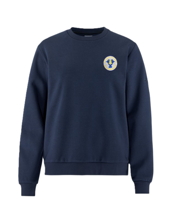 Sportinio stiliaus trikotažinis bliuzonas su mokyklos emblema