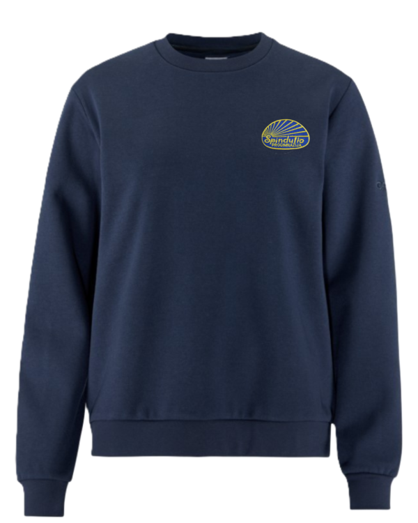 Trikotažinis  džemperis be gobtuvo su mokyklos emblema