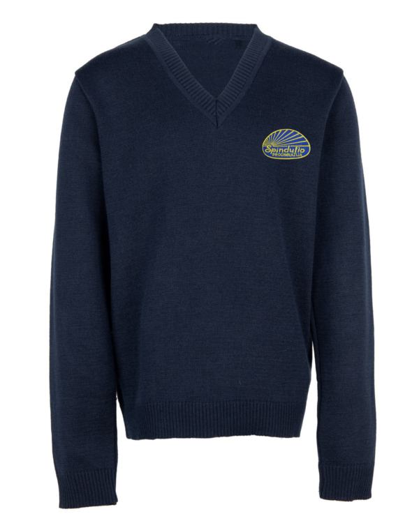 Megztinis V-formos apykakle su mokyklos emblema