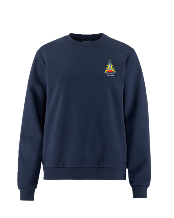 Trikotažinis  džemperis be gobtuvo su mokyklos logotipu