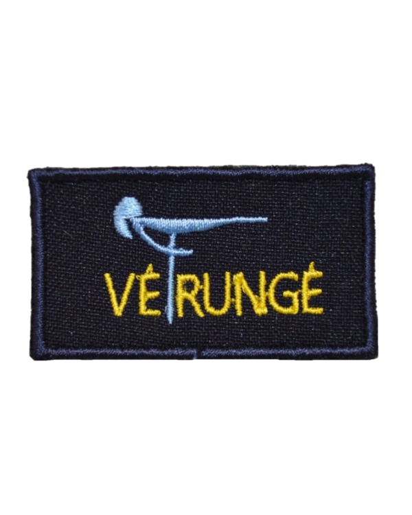 Klaipėdos Vėtrungės gimnazija