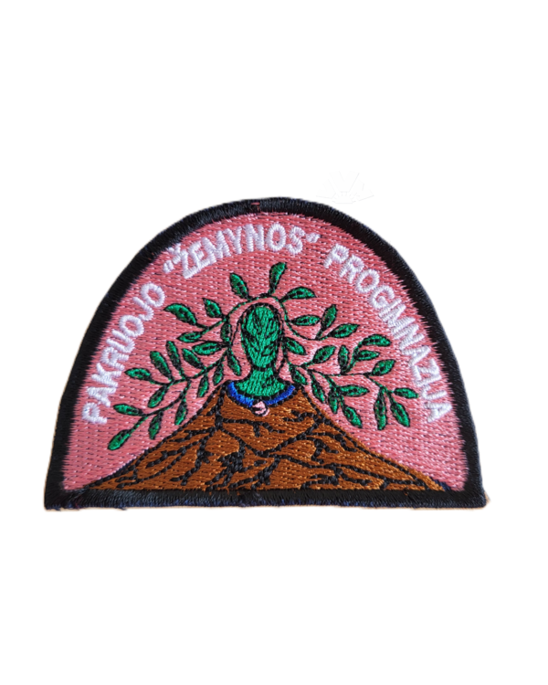 Pakruojo Žemynos progimnazija