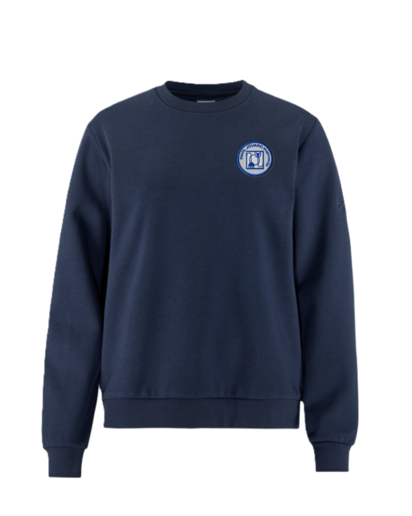 Trikotažinis  džemperis be gobtuvo su mokyklos emblema