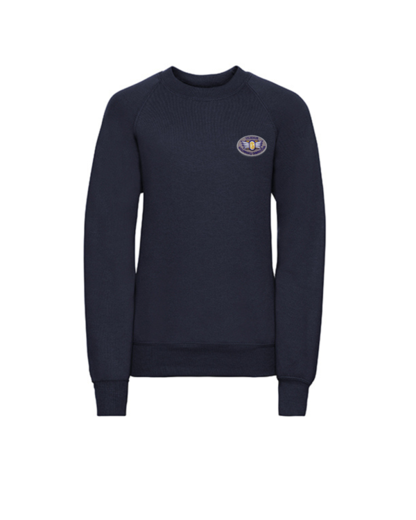 Trikotažinis  džemperis be gobtuvo su mokyklos emblema