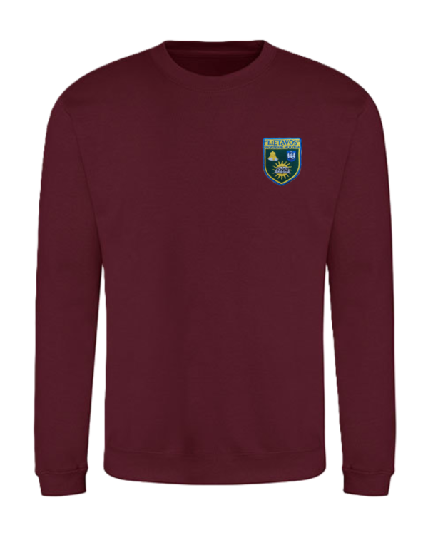 Trikotažinis sportinio tipo džemperis su mokyklos emblema