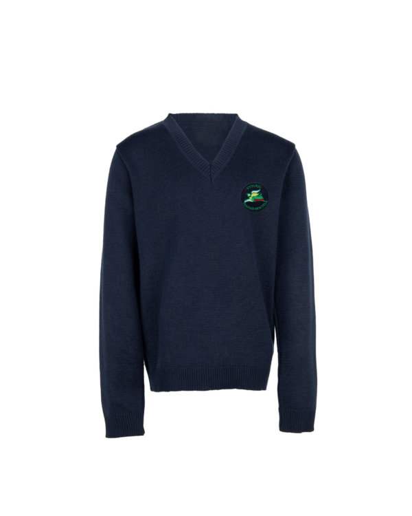 Megztinis V-formos apykakle su mokyklos emblema